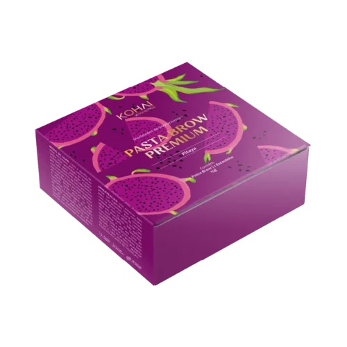 PASTA MODELADORA BROW PREMIUM KOHAI - PITAYA 15G