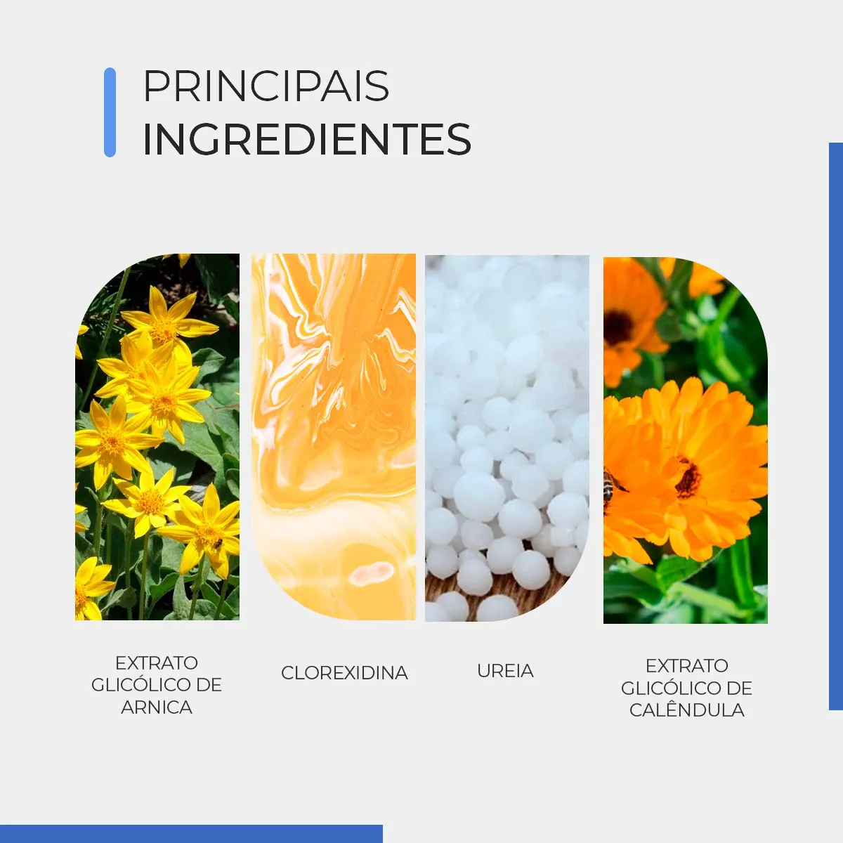 SMART CLOREX CLEAN SOLUÇAO DE LIMPEZA 500ML - SMART GR - Imagem 2